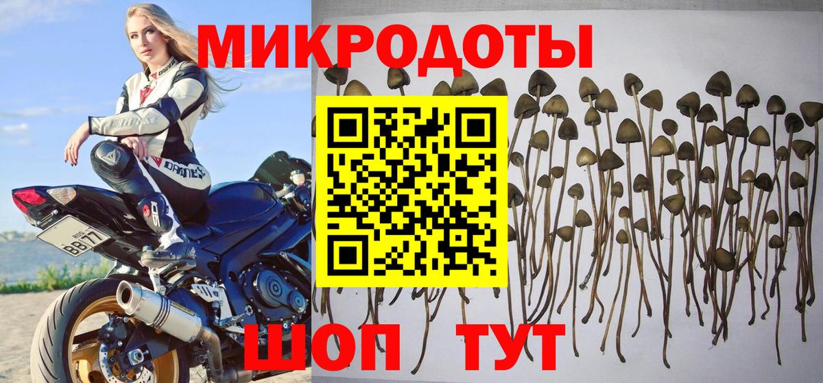 Галлюциногенные грибы GOLDEN TEACHER  Вход с VPN  Псилоцибиновые грибы Psilocybe  Новокубанск 