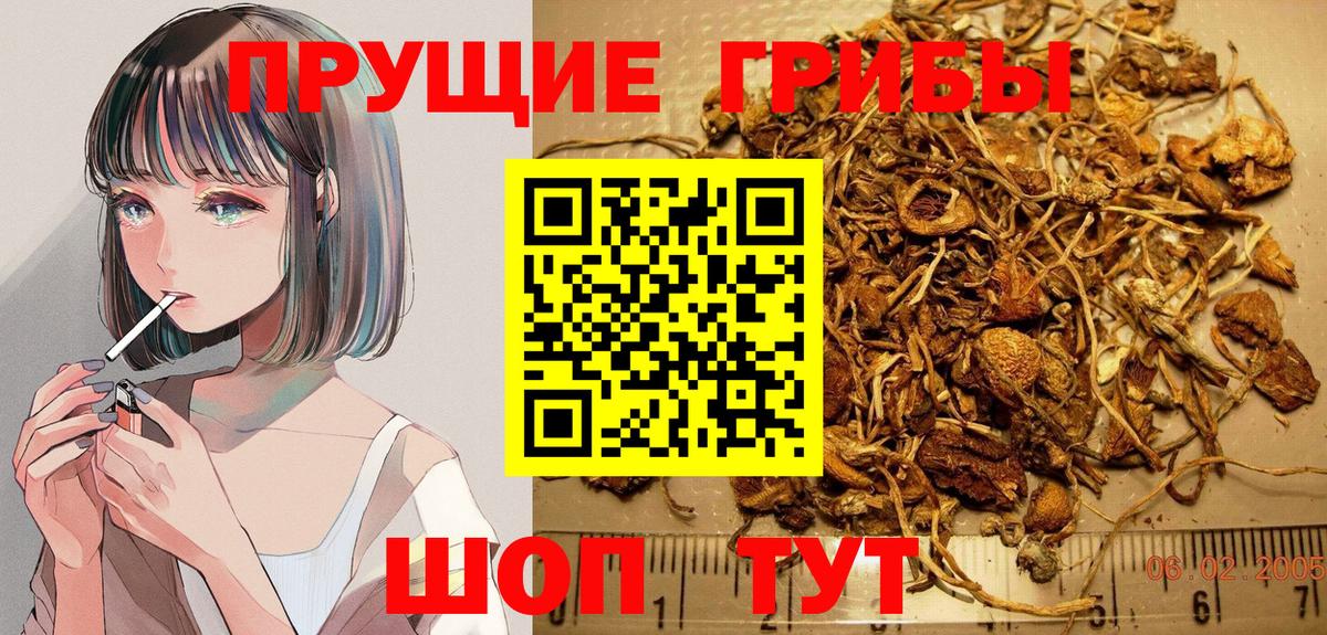 Псилоцибиновые грибы прущие грибы Новокубанск